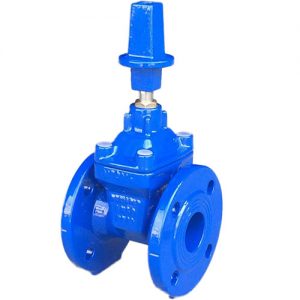 Tổng quan về arv van cổng mặt bích (2)